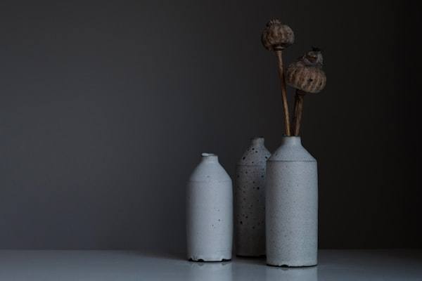 A Day with Master Potter Rajan